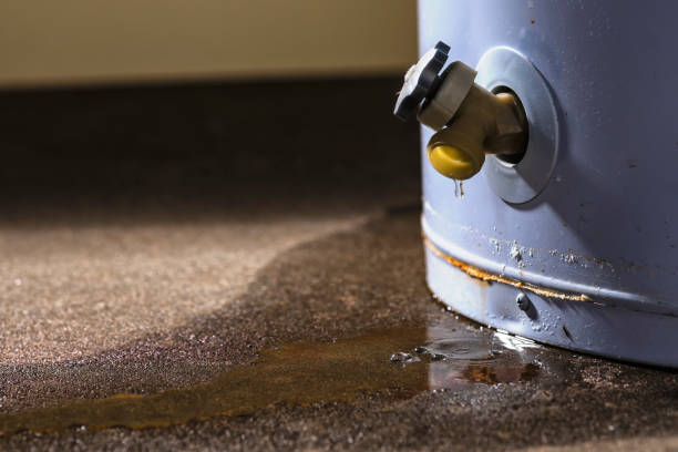 Best Basement water damage restoration  in Davison, MI