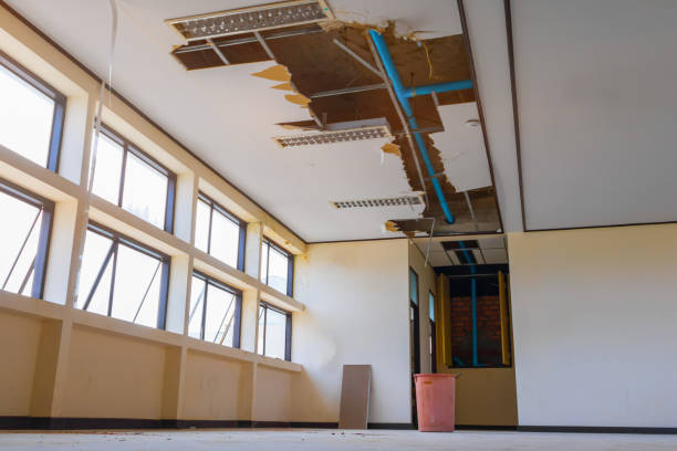 Best Sewage cleanup and water damage restoration  in Davison, MI