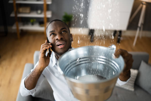 Best Water damage restoration near me  in Davison, MI