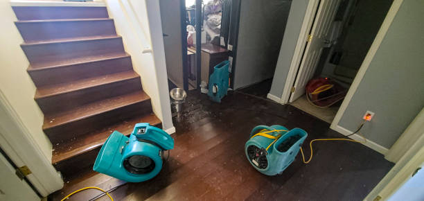 Best Emergency water damage restoration  in Davison, MI