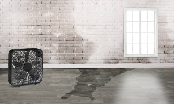 Best Commercial water damage restoration  in Davison, MI