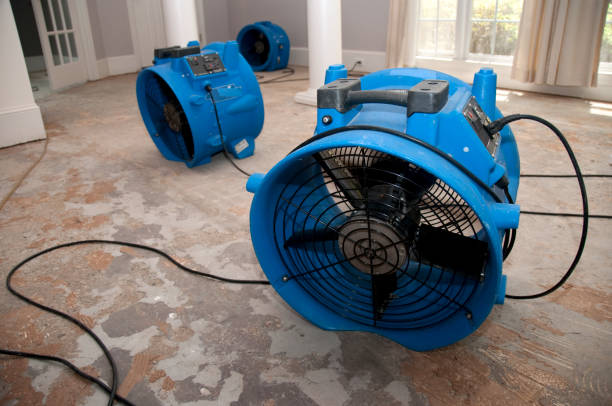 Best Water damage contractors near me  in Davison, MI