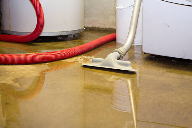 Best Carpet water damage restoration  in Davison, MI