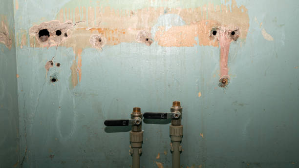 Best 24/7 water damage repair  in Davison, MI