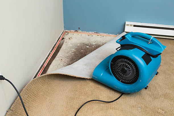 Best Fire Damage Restoration  in Davison, MI